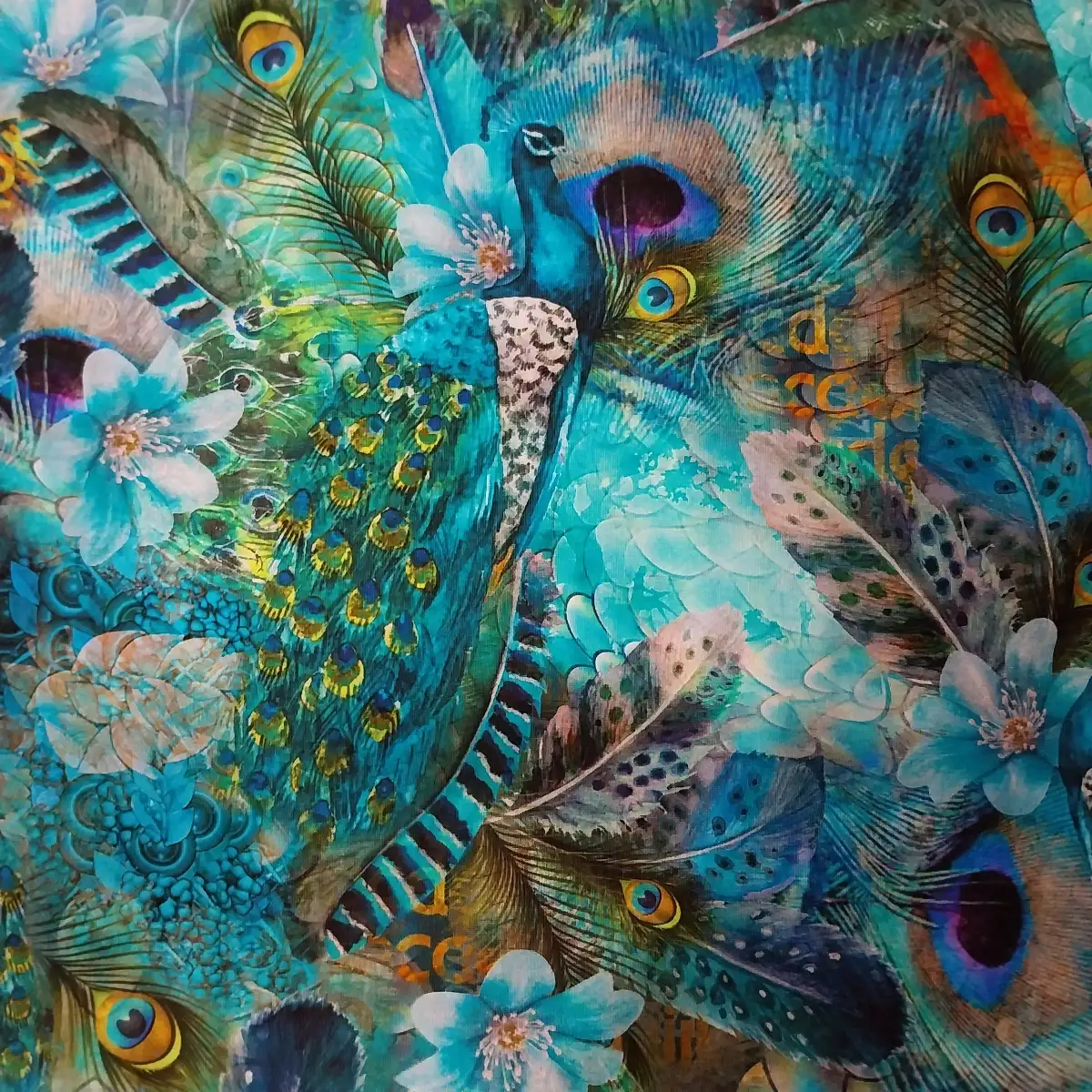 COL PAON BLEUS / PLUMES